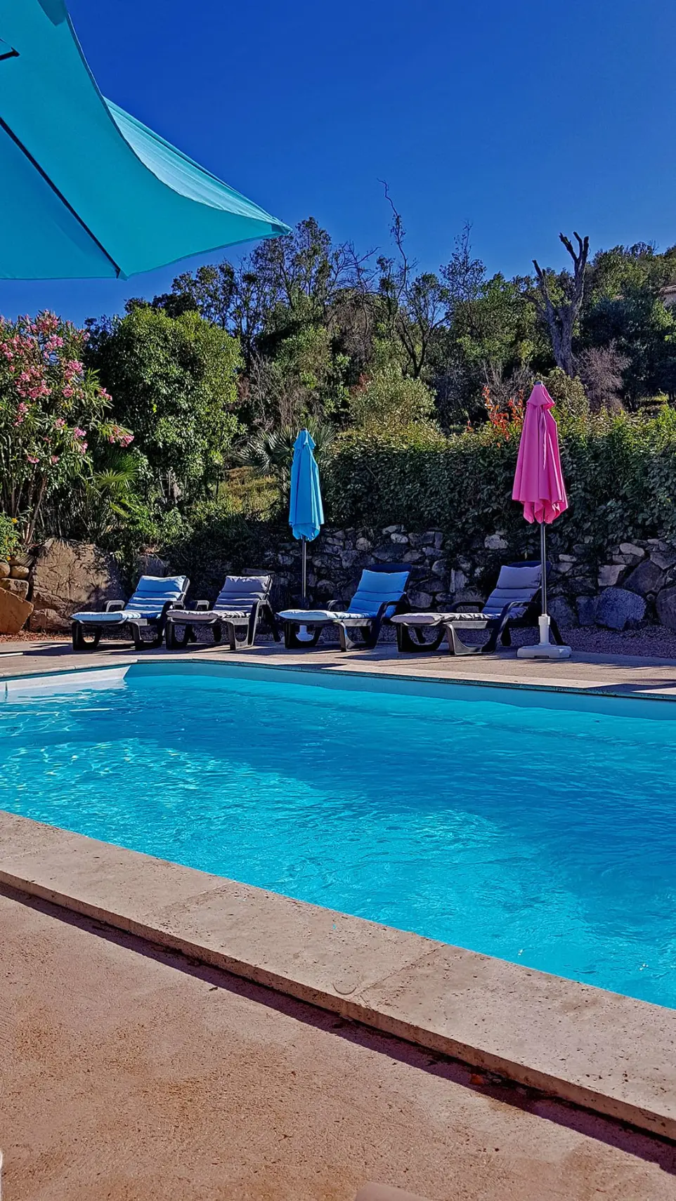 La belle piscine, havre de paix 