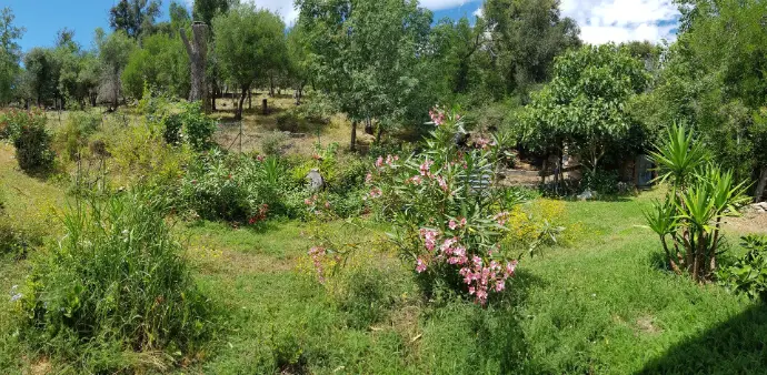 espace de verdure derrière des locations 